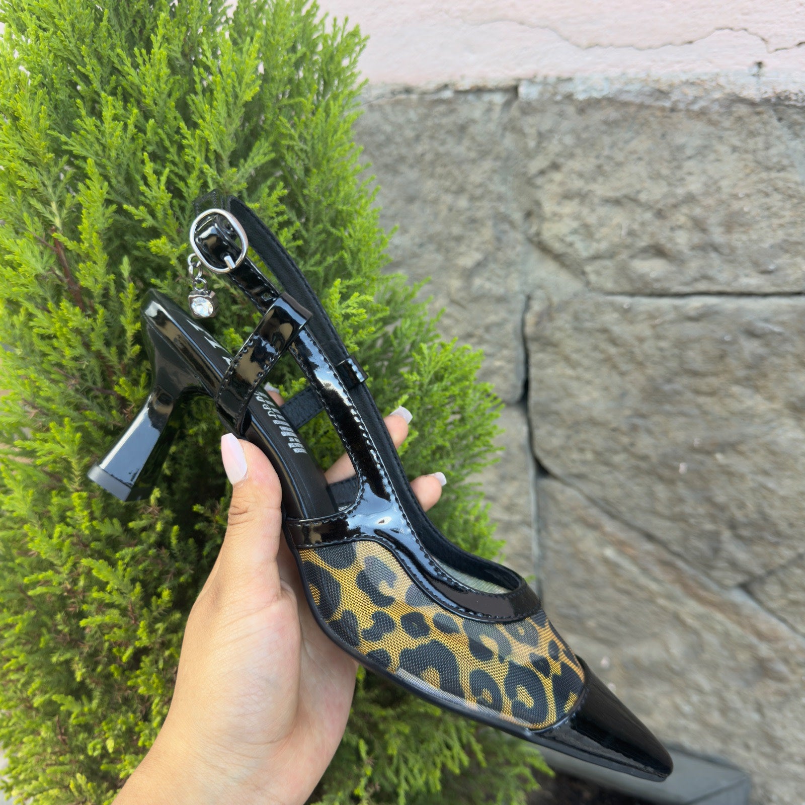 NEGRO LEOPARDO MALLA  5½