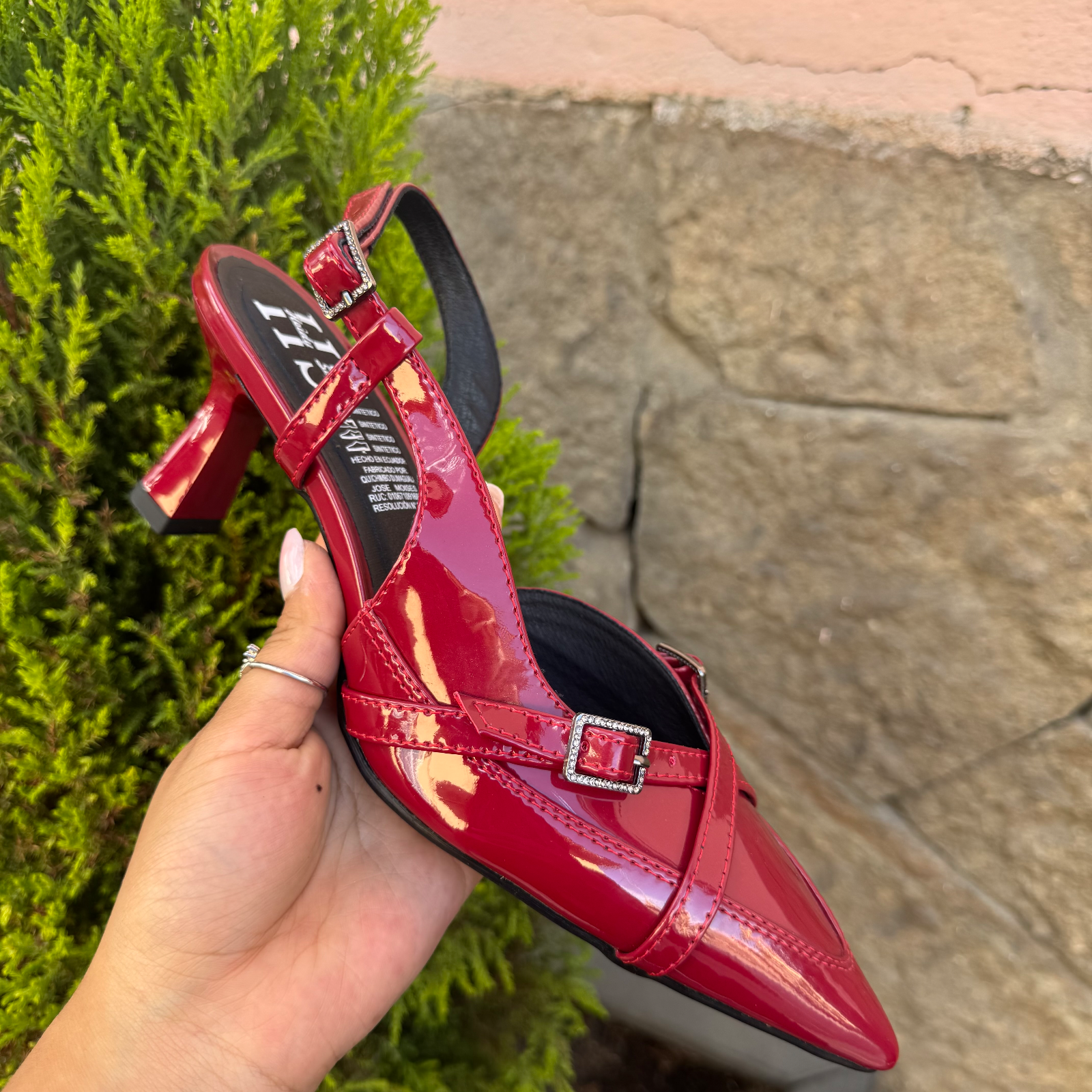 ROJO CHAROL 5½