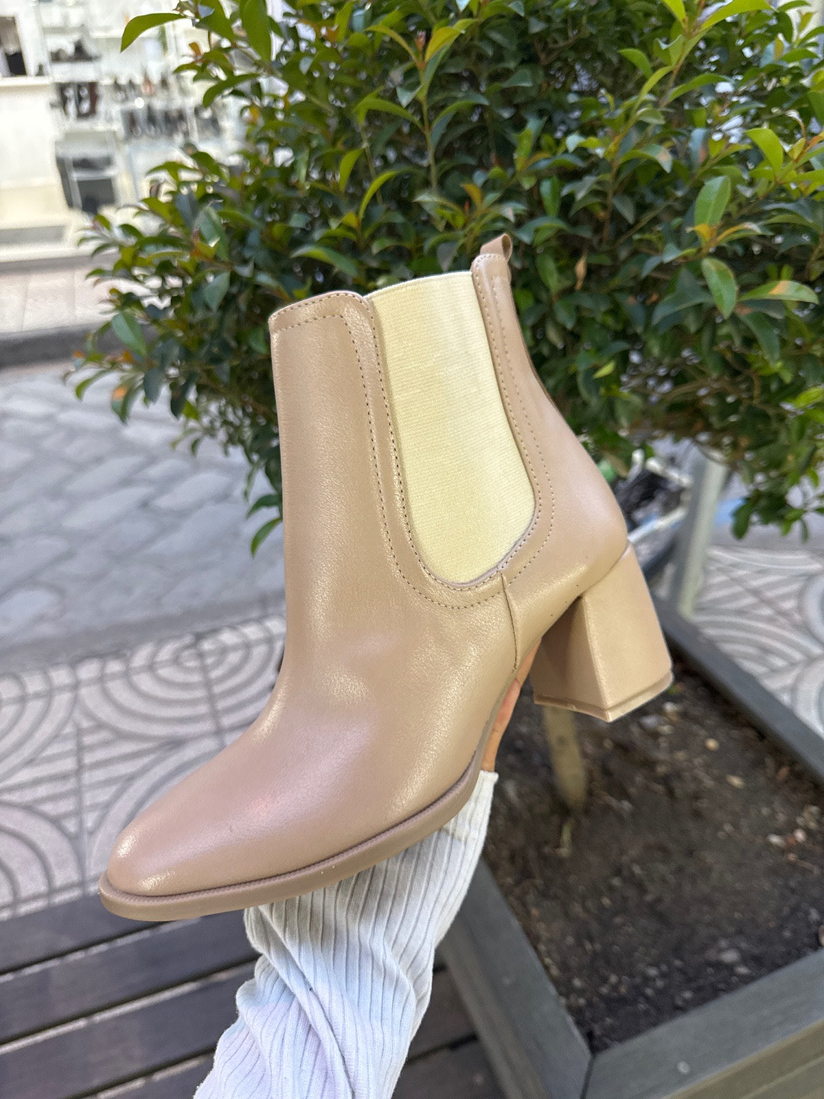 BOTIN B129