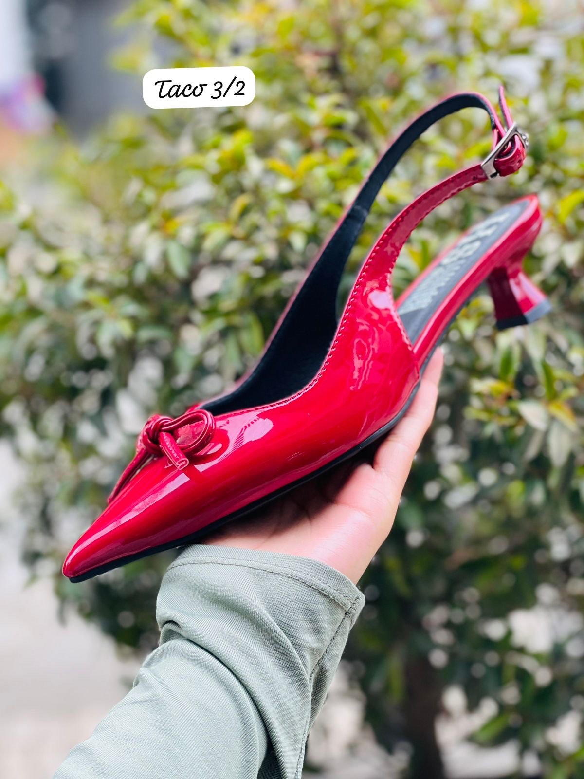 ROJO CHAROL 3½