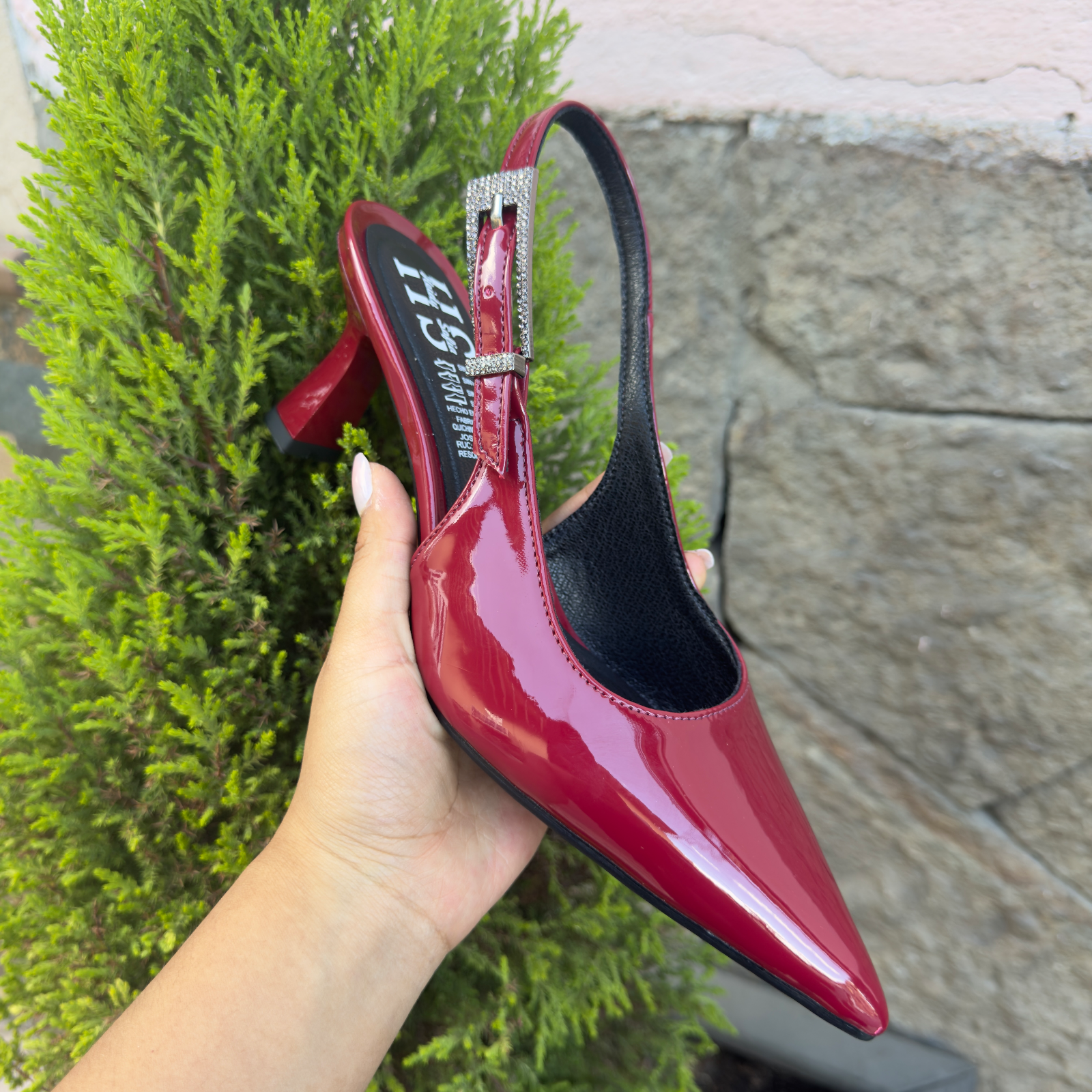 ROJO CHAROL 5½